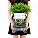 Geelin 1 Gallon Plastic Aquaponic Betta Fish Tank Aquaponic with Base and Top, Large Bowl Shatterproof Ecosystem Aquarium with Clear Clarity for Terrarium, Flower Vase Betta Fish Centerpiece Gifts