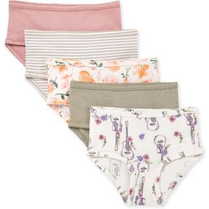 Burt's Bees Baby Toddler Girls' Underwear Set of 5 - Solids, Stripes,Prints, Tag-Free, 2-3T