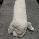 Hofun4U Rabbit Plush Pillow, Rabbit Stuffed Animal, Rabbit Plush Long Body Pillow for Kids Adults (White,35 inch)