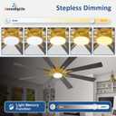 Large Ceiling Fans with Lights: Modern 72 Inch 8 Blade Outdoor Ceiling Fan with Remote APP Control - Dimmable Black Gold Big Fan light Indoor Reversible 6 Speed Quiet DC Motor,  Black and Gold 01, 72 Inch