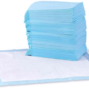 Basics LeakProof Dog and Puppy Potty Training Pee Pads with QuickDry 5Layer Super Absorbent Design, Regular Size 22 x 22 inch, Blue & White, 100 Count