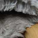 Shag Area Rugs for Bedroom Living Room,5X8 Ultra Soft Fluffy Area Rugs for Dorm,Indoor Carpet Plush Rugs for Home Decor,Tie-Dye Grey