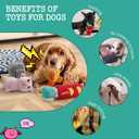 Fuzzwoof 5 PC Pixel Style Dog Toy Plushies, Squeaky Dog Toys Crinkle Plush Stuffed Dog Chew Toy for Small Medium Large Breeds, Christmas Dog Toys Stocking Stuffers