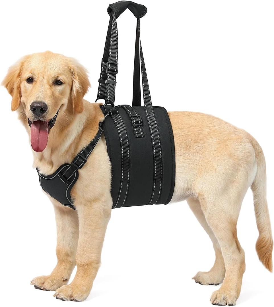 NOYAL Dog Lift Harness Sling - Adjustable Pet Carrier for Senior Dogs with Arthritis Joint Injuries, Emergency Support Rehabilitation Aid for Nail Trimming, Stairs Assistance (Black1). L Size