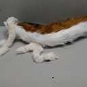 Gorou Ears and Tail Set Game Cosplay Headdress Fox Ears Headband Furry Fursuit Costume Accessories (Deep Brown)