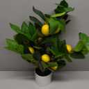 Artificial Potted Plant, 18 Indoor Fake Lemon Tree Greenery with White Pot Faux Green Plants Lemon Citrus Branches Stems for Kitchen Office Living Room Table Desk Home Decor