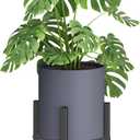 8 Inch Gray Cylinder Plant Pots with Heavy Duty Stand,Durable Planters for Flowers,Large Plant Pot for Indoor and Outdoor, Decorative Modern Flower Pots with Drainage Hole