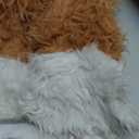 Spooktacular Creations Halloween Fox Costume for Girls, Kids Fox Costume Child for Halloween Dress Up, Jungle-themed Party (Large(10-12 yrs))