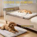 Self Heating Cat Pad Self Warming Cat Bed 22" x 17" Thermal Mat Extra Warm Pet Mat for Outdoor and Indoor Large Kittens Small Puppy Pets