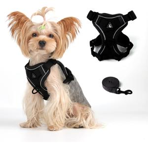 Vest Harness Leash Set for Small Dog Cat, Kitten Escape Proof Adjustable Jacket with Lead for Puppy Fat Cat Outdoor Walking, Soft Breathable Mesh Coat with Reflective Strip,M Black