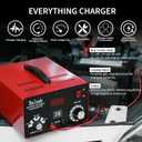 C20 Adjustable Battery Charger 12V 24V 36V 48V, 12A Pulses of High-Voltage Battery Desulfator Maintainer with Smart Chip for Lead-Acid LiFePO4 Lithium Batteries BLB-C20