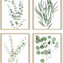 HAUS AND HUES Botanical Plant Wall Art Prints - Set of 4 Plant Wall Decor Prints Floral Kitchen Flower Leaves Wall Art Boho Leaf Eucalyptus (11x14, UNFRAMED)
