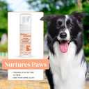 Foam Dog Paw Cleaner - Alcohol Free Foaming Paw Sanitizer Spritz - Made with Coconut, Aloe, Copaiba Oil, and Lemongrass Oil to Nourish and Clean Paws - Made in The USA (1.7 oz)