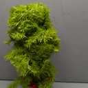 Obralitic Whimsical Table Top Small Christmas Tree, 2 FT Bendable Lime Green Christmas Tree with Lights and Red Ball, Curved Shape Artificial Tabletop Tree for Home Office Holiday Party Decoration