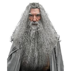 JEGERMIG Grey Wizard Curly Wig and Beard Christmas Funny Cosplay Santa Claus Costume Accessory for Adults