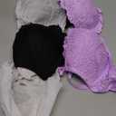 Smart & Sexy Women's Signature Lace Push-up Bra - Perfect for Seeking Effortless Style and Comfort, Size 34, 2 Pack, Purple and Black