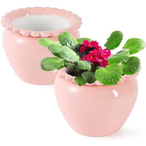 2pcs 6.5inch Design Self Watering Pot for Indoor Plants Pink Indoor Plants Herbaceous Plants Flowers White Terracotta Pots African Violet Pot for Plant Enthusiasts Orchid Planter