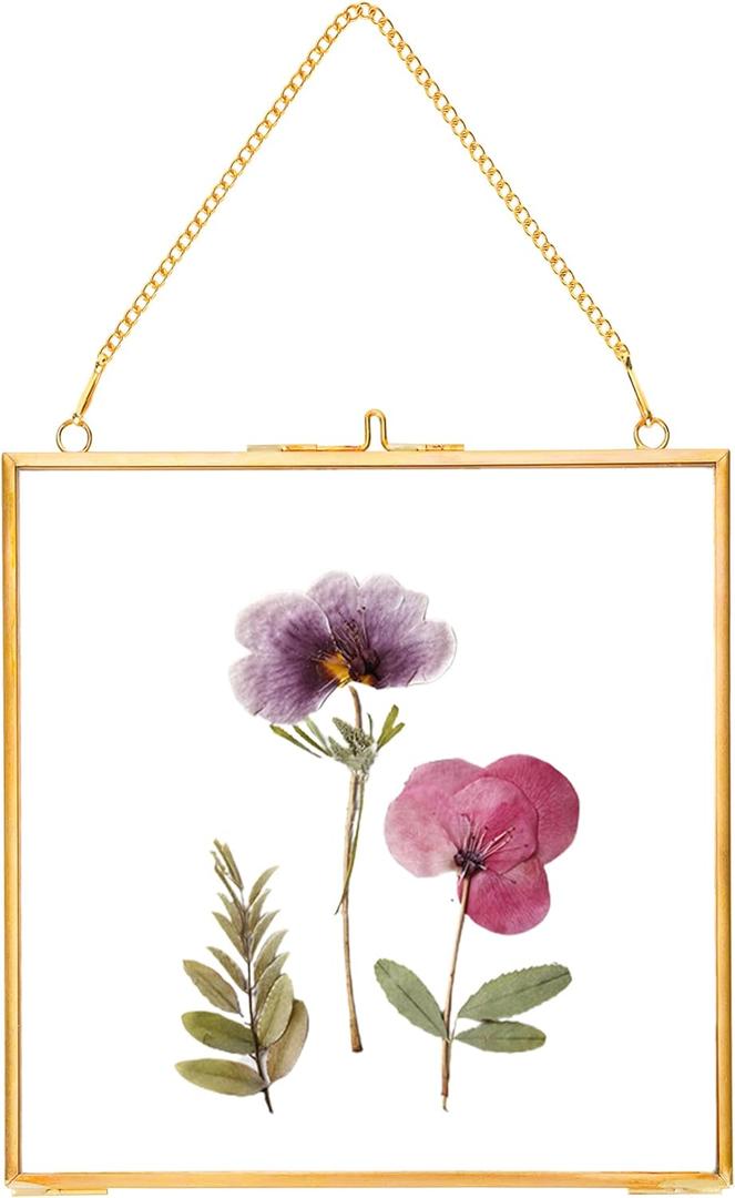 REDHUGO Glass Pressed Flower Frames,Vintage Hanging Picture Frames with Chain,Handmade Brass Floating Picture Frame,Plant Specimen Wall Ornament Display Artwork DIY Family Photo,Square,Gold, 6x6 Inches