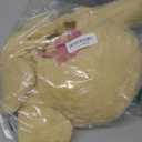 Rubies Walking Teddy Bear Pet Costume for Dogs or Cats, XXL (Brown)