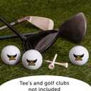 Desert Cactus Kennesaw State University Golf Balls 3 Pack Full Color Golf Ball (Design B)