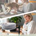 BYBYME Cat Desk Bed for Indoor Cats, Kitty Bed for Worktable Supports 44 lbs, 360 Rotation & Adjustable, Soft Cat Nest Desktop with Hanging Ball for Office Desks Home Tables, 12" in DiameterGray