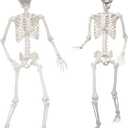Lodou 2 Pack 5.4ft/165cm Life Size Skeleton Halloween Skeletons,Full Body Human Bones with Movable Joints for Indoor Outdoor Halloween Decor