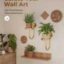 Leaf&lull Wall Plant Holder Planter with Wall Planters for Indoor Plants Plant Hanger Hanging Plant Holder Wall Hanging Decor 2 Pack Golden