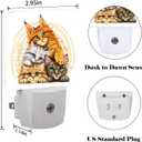 Colorful Cats Night Light,Plug-in Night Lights with Dusk to Dawn Sensor for Stairway,Hallway,Bedroom Sleep Friendly Ideal for Women/Girls/Boys Gift,0.5w