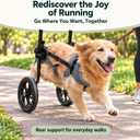 Large Dog Wheelchair for Back Legs (XXL: 110-200 lbs), Adjustable
Heavy-duty Construction; Breathable Air Mesh Harness; All-terrain Wheels; Foldable; Includes Traction Rope