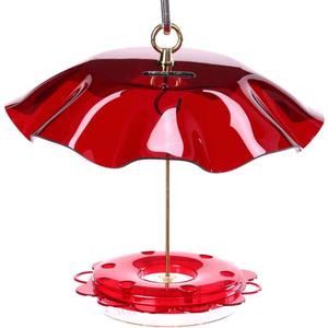 Birds Choice NP1007 Hummerfest Bird Feeder w/ Weatherguard, Hummingbird Nectar Feeder with Ant Moat, 12oz Capacity, Red