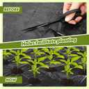 3 ft x 150 ft Weed Barrier Landscape Fabric with Planting Holes, Heavy Duty Durable Garden Weed Mat for Outdoor Gardening, Greenhouse, Orchard, Farm