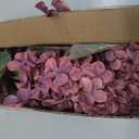 Ttranewsoo Burgundy Hydrangea Artificial Flowers,Fall Hydrangeas Artificial Flowers, Fake Fall Dried Hydrangea Decoration,Faux Silk Flower with Stems Winter Decor(Red Rose 24" 8pcs) Without Vase