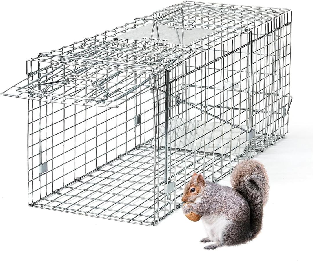 311213 Inch Heavy-Duty Live Animal Cage Trap - Humane Catch & Release for Raccoons, Cats, Squirrels, Rabbits, Groundhogs - Safe & Durable Steel Construction with Secure Door Lock