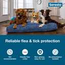 Seresto Small Dog Vet-Recommended Flea & Tick Treatment & Prevention Collar for Dogs Under 18 lbs. | 8 Months Protection