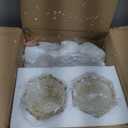 Glass Wall Sconce Set of 2, Antique Brass Wall Light, Crystal Floral Bedside Wall Lamp for Entrance, Bedroom, Hallway
