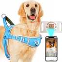ADVENTUREMORE Small Dog No Pull Harness with QR Code Tag, Adjustable Reflective Vest, Escape Proof with Front Clip Handle for Training Walking - Light Blue