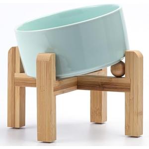 Petygooing Elevated/Raised 15°Slanted Ceramic Dog Bowl for Small and Medium Breeds, Tilted Anti Slip Pet Bowl,Food Water Dish with Stand for Cats and Dogs (28 OZ/3.6 Cups) Blue Sky