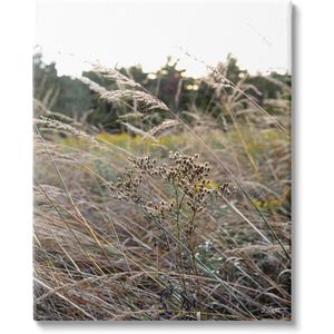 Stupell Industries Countryside Meadow Blooming Reeds Tall Grass Buds, Design by Donnie Quillen, 16 x 20 (16L" x 1.5W")