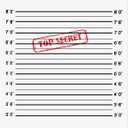 35.4 x 47.2In Secret Agent Mugshot Backdrop Murder Mystery Party Decorations Mugshot Board Top Secret Party Supplies Mystery Party Decorations for Birthday Game Prop Photography Spy Themed Party