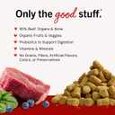 Stella & Chewy's Freeze-Dried Raw Beef Meal Mixers- Dog Food Topper and Mixer - Made with 95% Grass-Fed Beef, Organs & Bone - Perfect for Picky Eaters - Grain-Free - 18 oz (EXP 06/15/27)