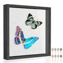 Califortree 11x11 Shadow Box Frame with Soft Linen Back - Metal Push Pins Included, Memory Box Display Case for Memorabilia Flower Awards Medals Wedding Photos, Black