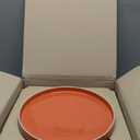 Odense 9.8" Large Dinner Plates(Set of 4) - Ceramic Plates for Dining Serving - For Salad, Pasta, Steak - Modern & Minimal, Wide Round Design, Stackable - Microwave & Dishwasher Safe (Multi Color)