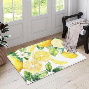 Watercolor Lemon Indoor Door Mat, Cute Citrus Welcome Outdoor Entrance Doormat for Entryway Kitchen Bathroom 17 X 29 Inch