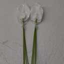 10 pcs Artificial Calla Lily Flower Arrangement 13.4" White Calla Lilies Real Touch PU Faux Flowers for DIY Wedding Bouquet Party Home Decor