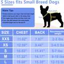 3-Piece Small Dog Sweaters - Fleece Winter Warm XS Boy Dog Clothes - Cute Dinosaur Patterns - Chihuahua, Yorkie - Christmas