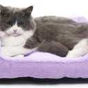 Tiny Dog Bed Extra Small Purple Rectangle Puppy Bed with Sides Soft Calming Supporting Washable 18 x 14 x 5 Inch