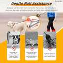 Prong Collar for Dogs - Adjustable Pinch Collar with PVC Coated Strap & Stainless Steel Chain - Safe Dog Training Prong Collar for Large Dogs - Choke Collar with Soft Rubber Tips (Orange)