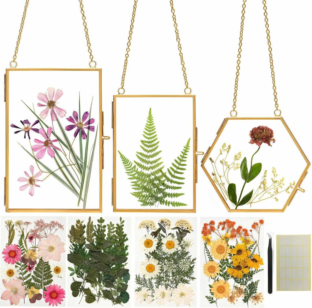 Relaxing Garden Pressed Flower Craft Kit for Adults & Women, DIY Floating Double Glass Frame Kit with Real Dried Flowers, Handmade Gift Art Project for Home Dcor, Keepsake & Creative Crafts