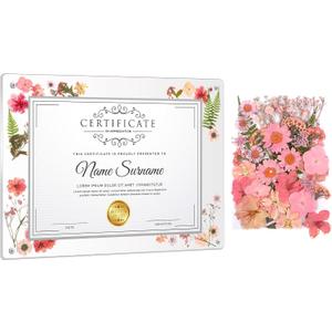 Kathfly 11 x 14 Inch Clear Acrylic Wall Mount Picture Frame Self Adhesive with Pink Dried Pressed Flowers Floating Frameless Clear Photo Frame for Diploma Certificate Degree Painting Artworks Craft