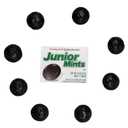 Fruidles Creamy Junior Mint Candies Covered in Pure Chocolate, Peanut-Free, Fat-Free (40) (EXP 04/21/27)